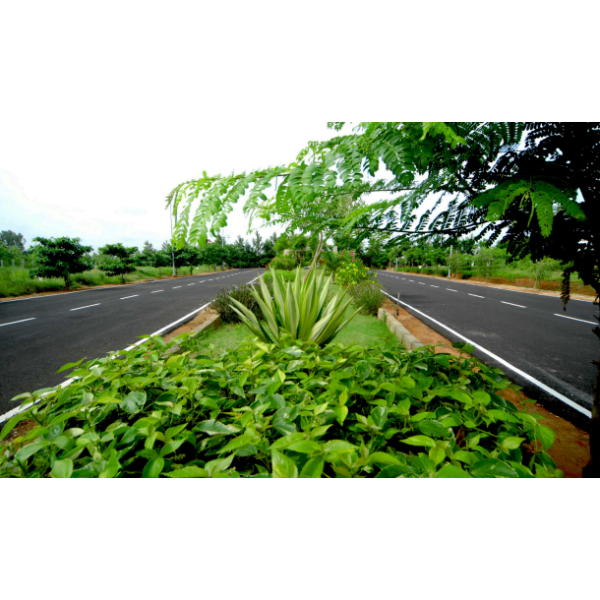 Vintage Valley Image 32